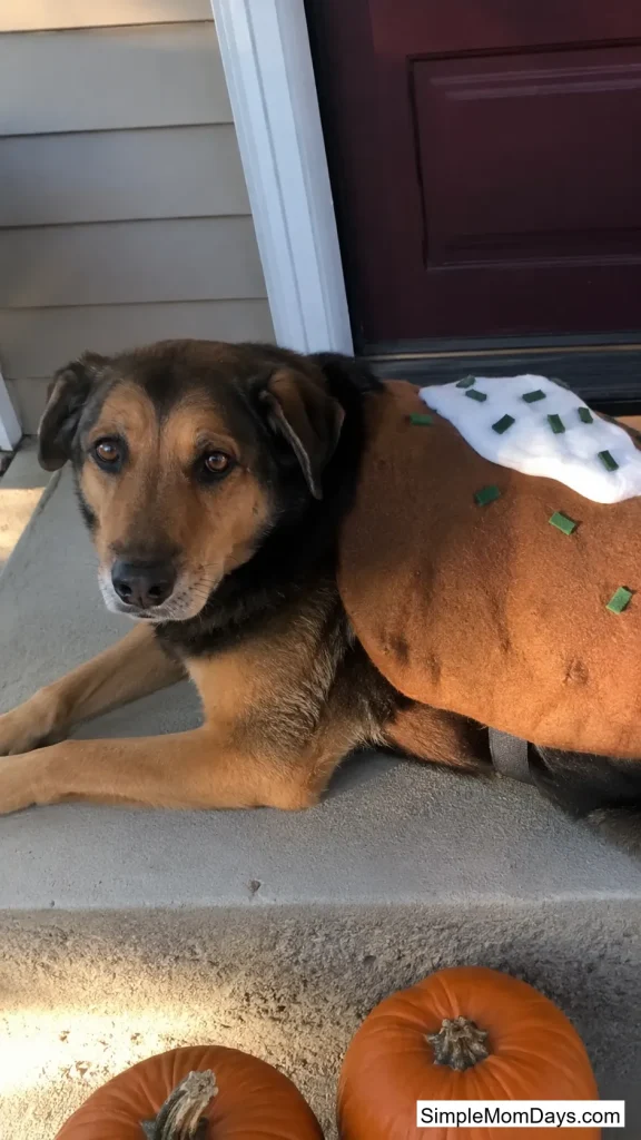 Baked Potato Costume