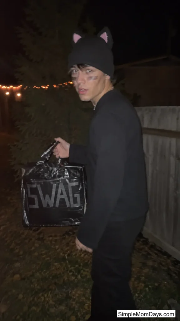 Cat Burglar