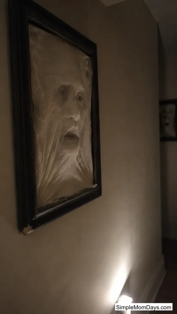 Cheesecloth Ghost Portrait