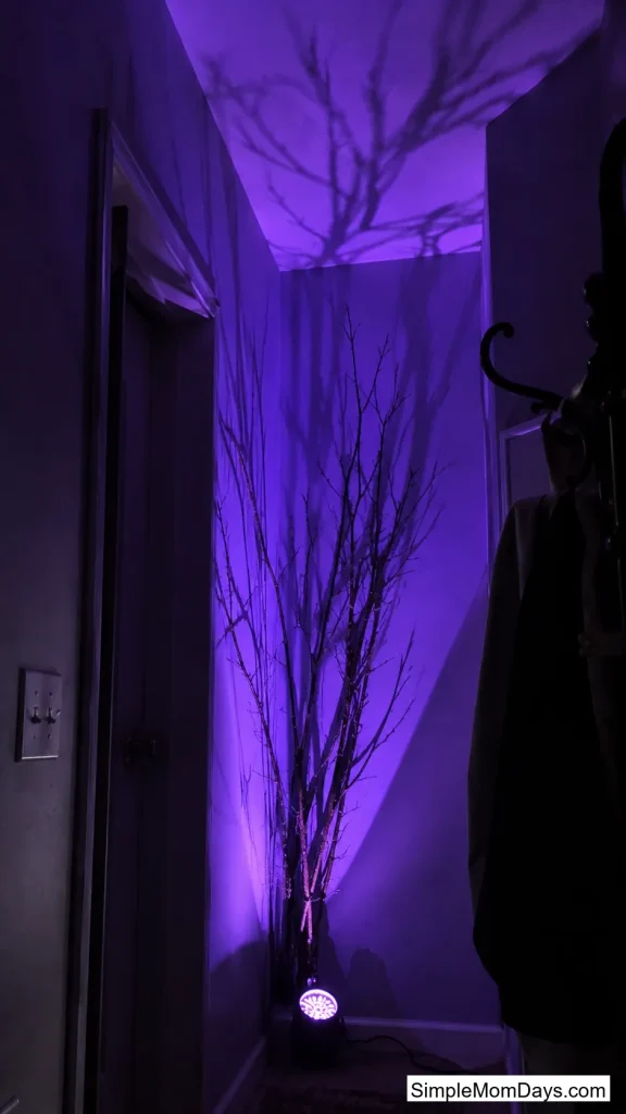 Color-Gel Uplighting