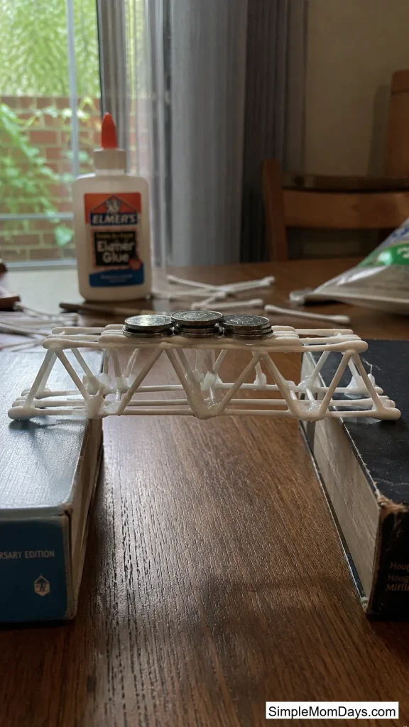 Cotton Swab Bone Bridge