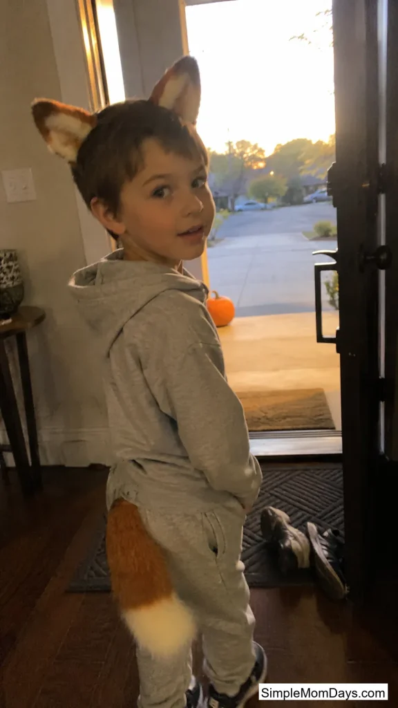 Ears, a Tail, and a Favorite Hoodie
