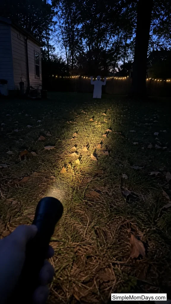 Flashlight Freeze Tag