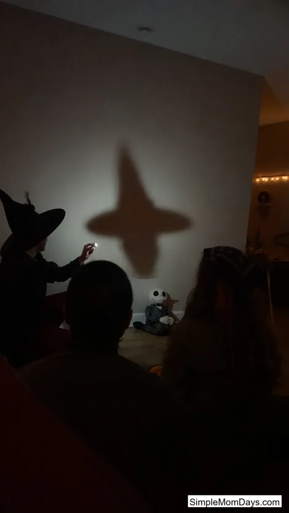 Flashlight Shadow Stories