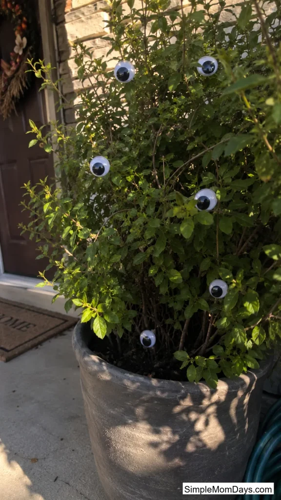 Googly Eyes in the Garden