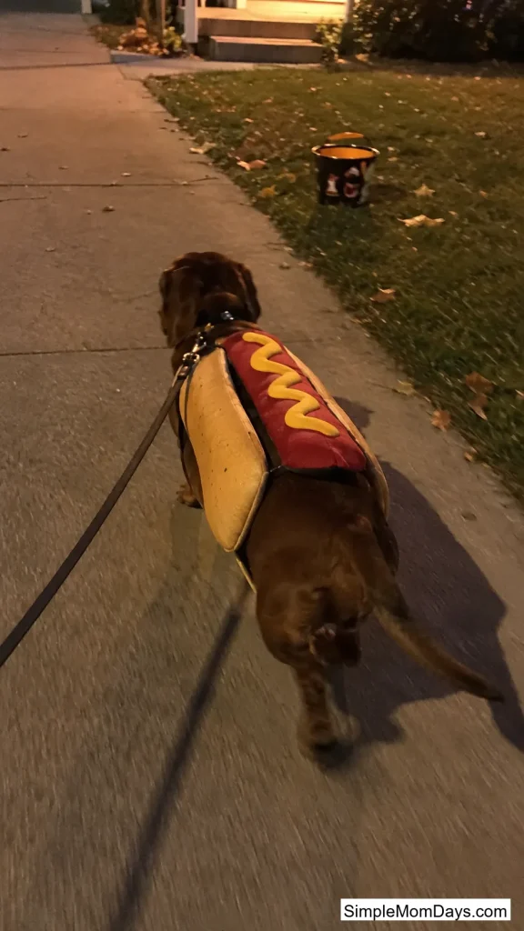 Hot Dog Bun Costume