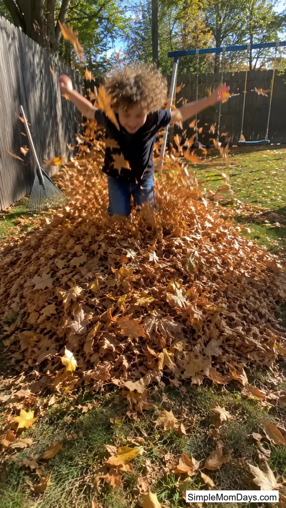 Leaf Pile Jump Zone