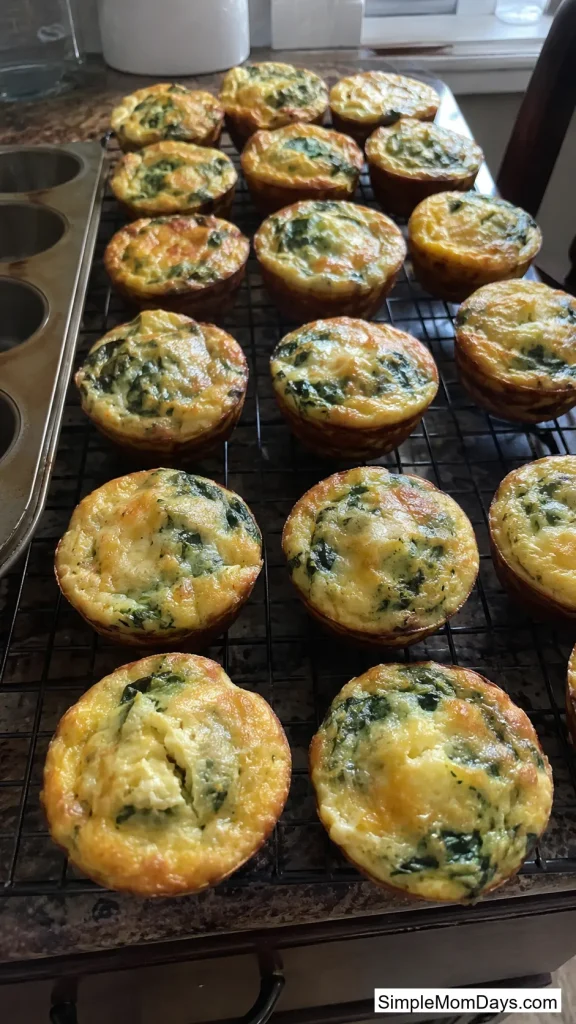 Mini Quiche Cups