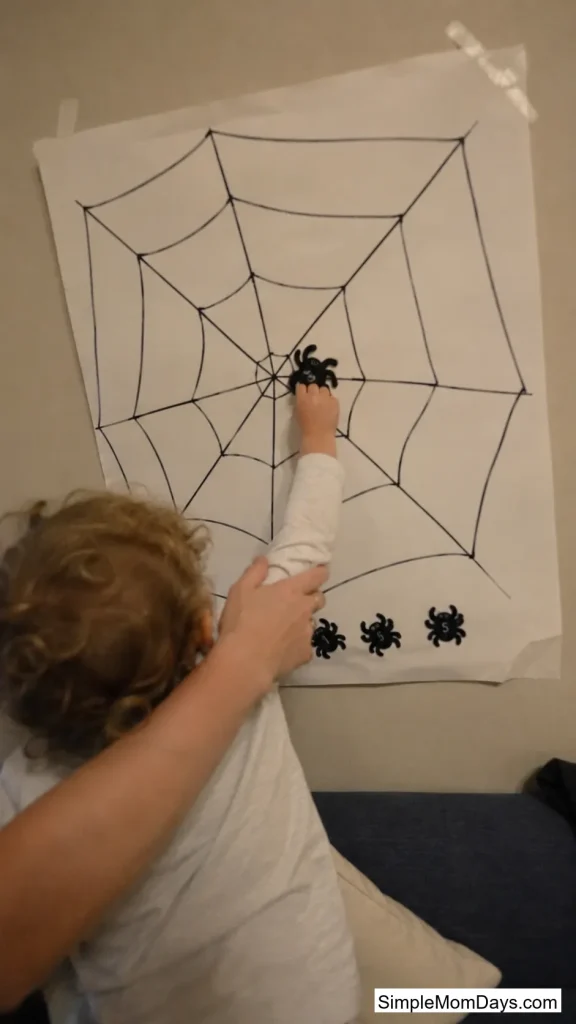 Pin the Spider on the Web