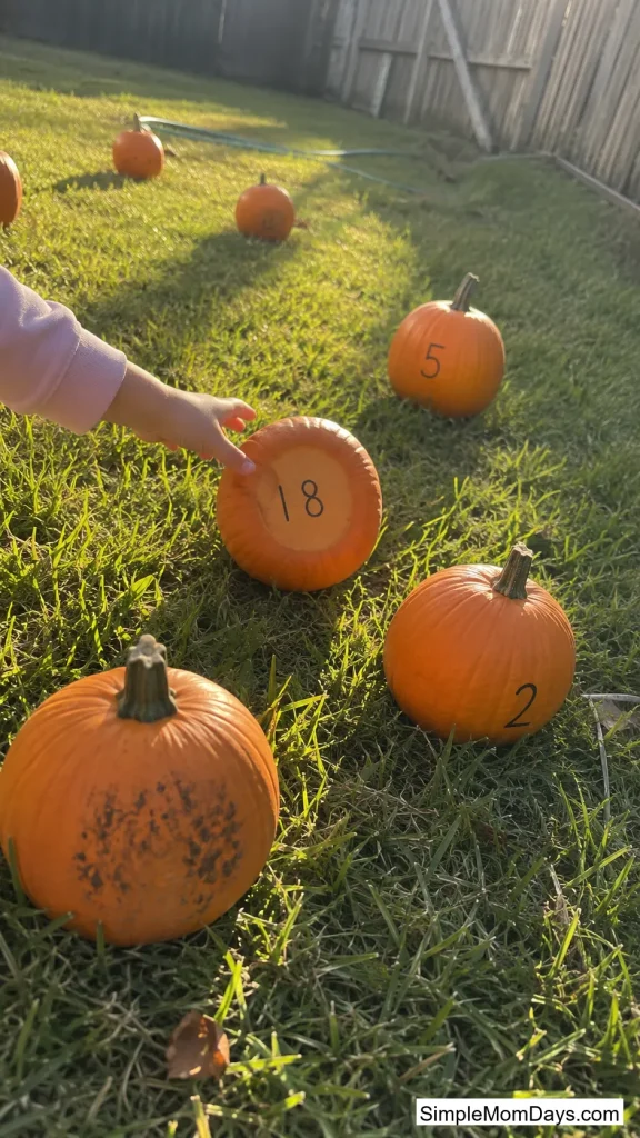 Pumpkin Patch Number Hunt