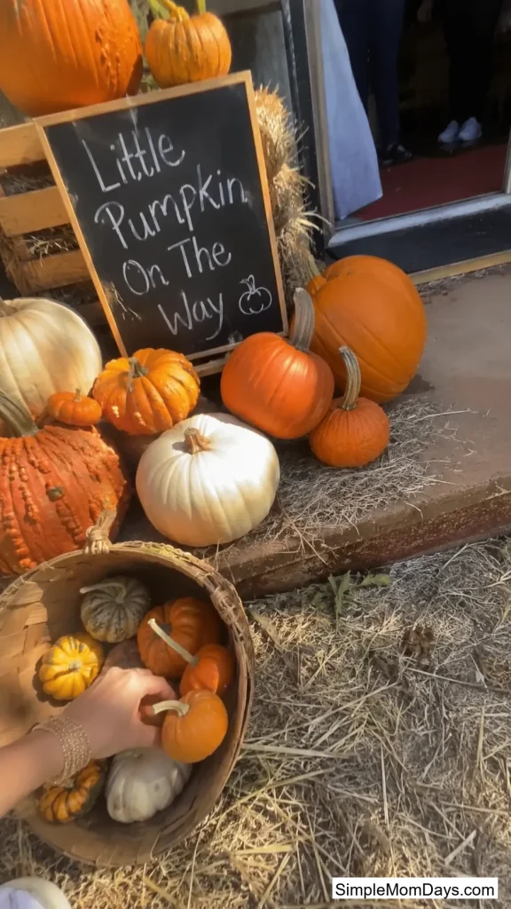 Pumpkin Patch Theme