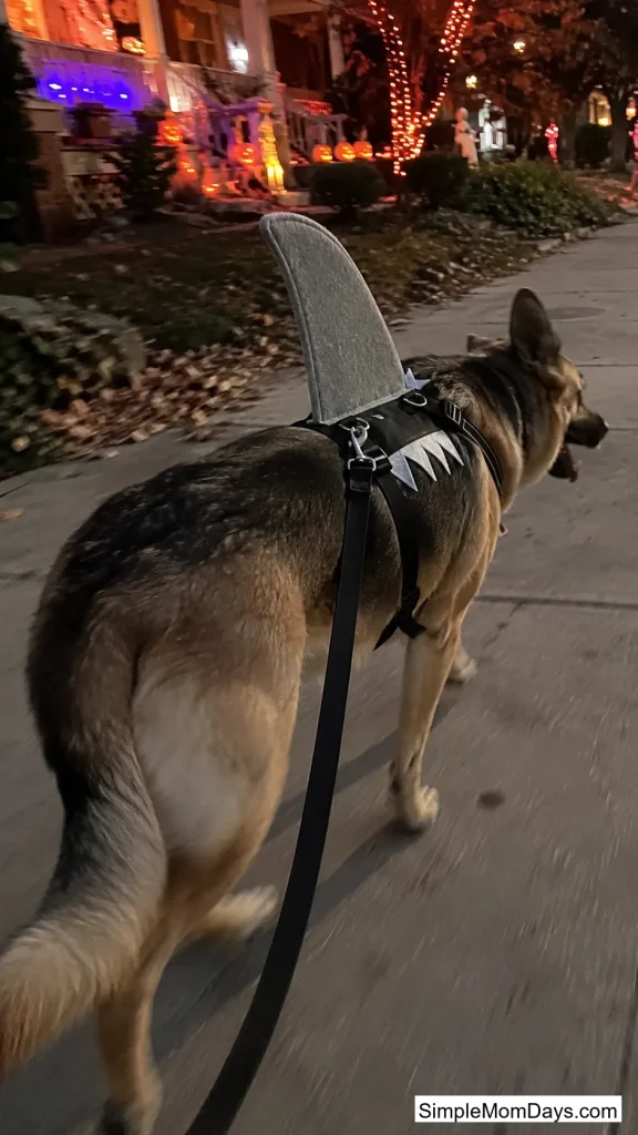 Shark Fin Harness Topper