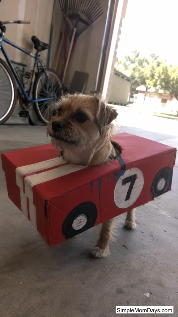 Shoebox Race Car