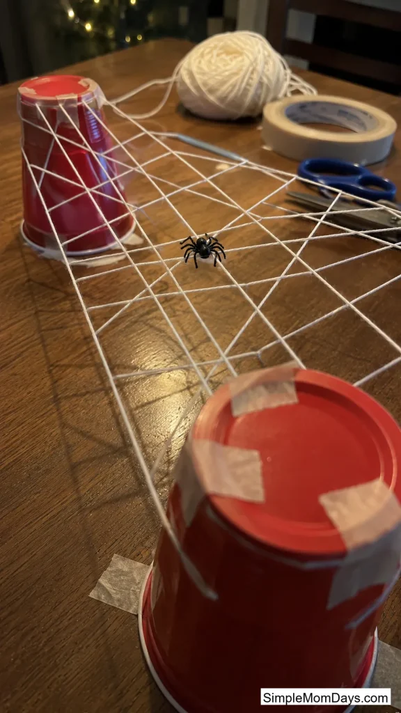 Spider Web Balance Bridge