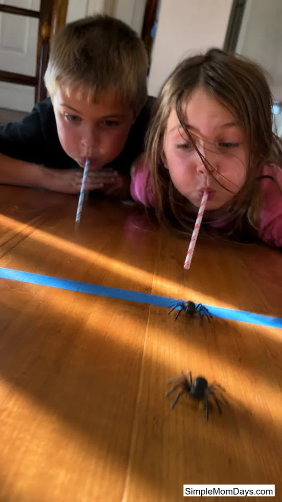 Straw Spider Race