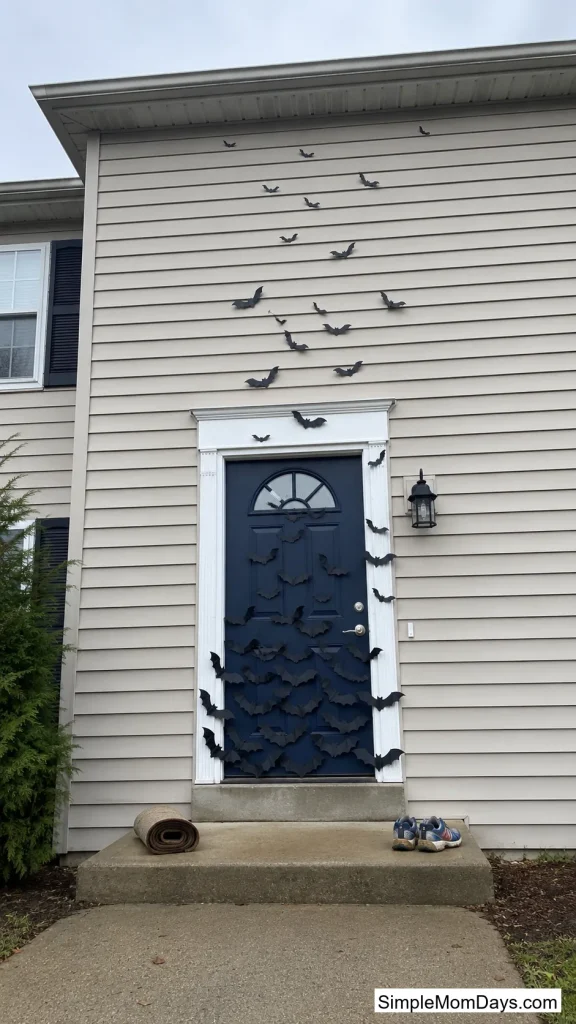A Bat Swarm That Escapes the Frame