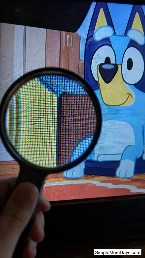 Carpet Under the Magnifier
