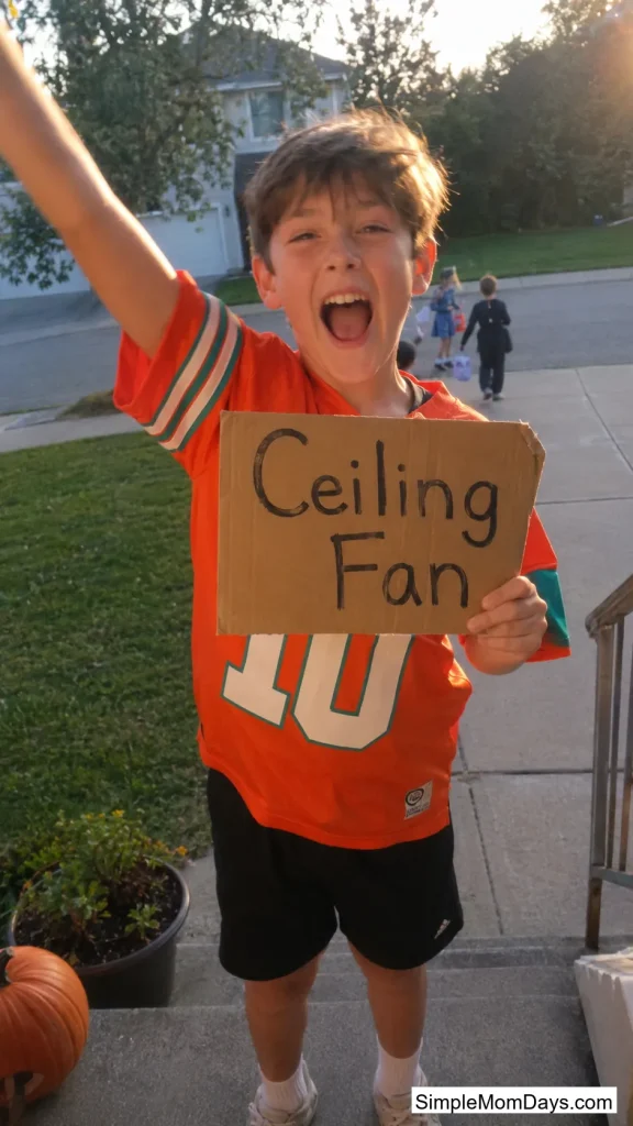 Ceiling Fan