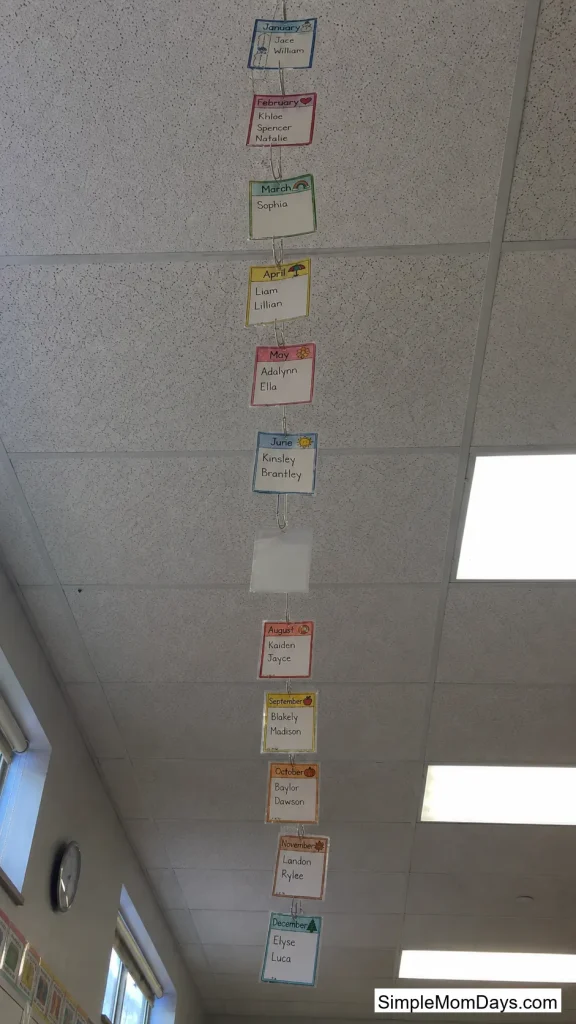 Ceiling Line Board