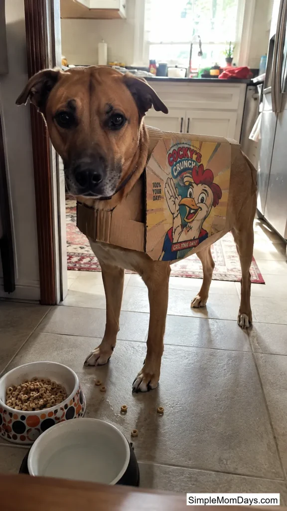Cereal Box Mascot