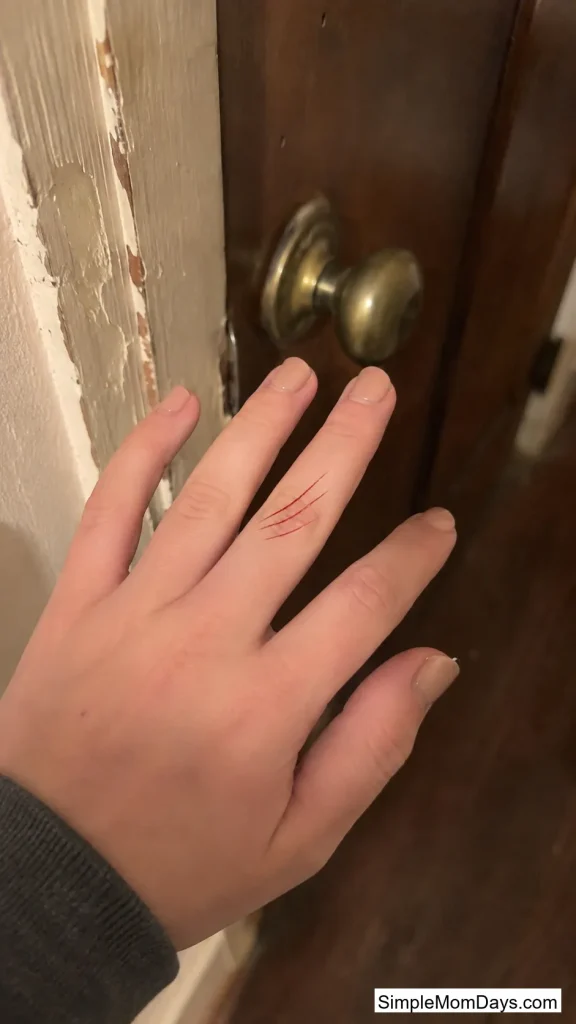 Claw Scratch Marks