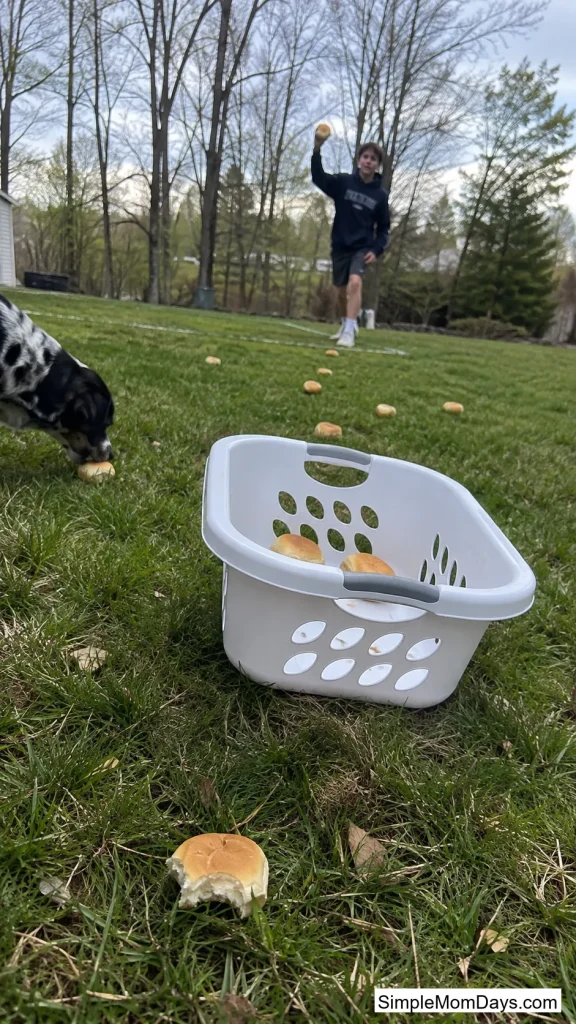 Dinner Roll Long Toss