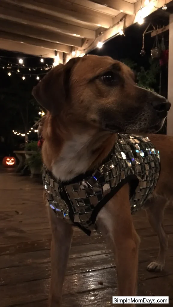 Disco Ball Vest
