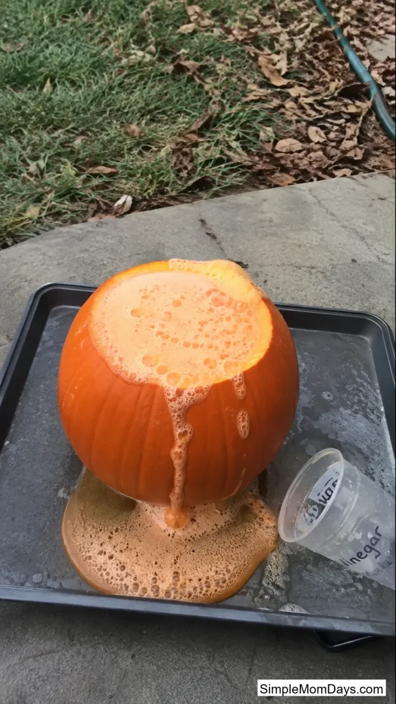 Fizzing Pumpkin Volcano