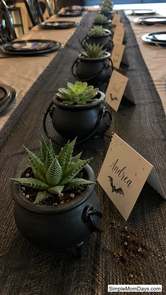 Mini Cauldron Succulent Favor