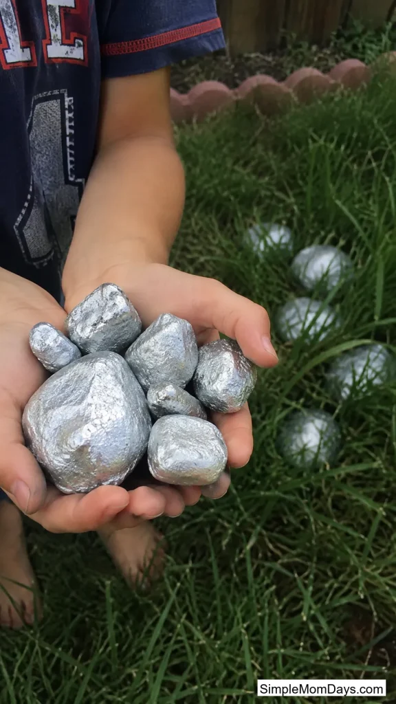 Moon Rock Hunt