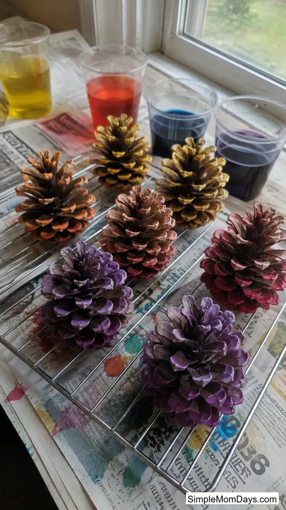 Ombre Dip-Dye Pine Cones