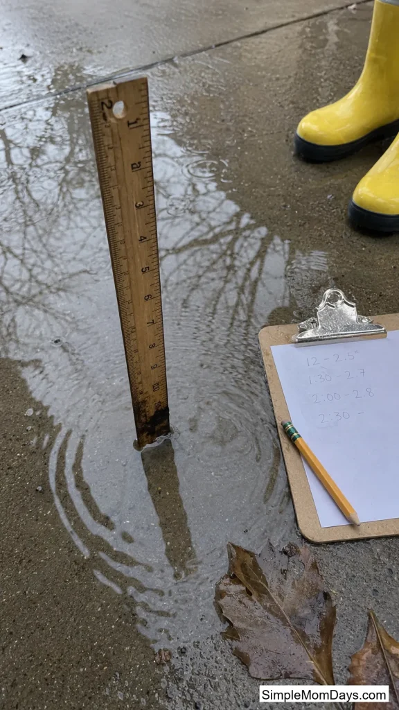 Puddle Depth Survey
