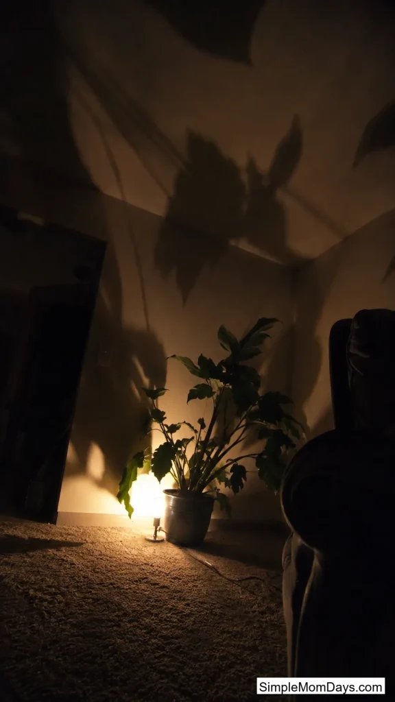 Put a Lamp on the Floor