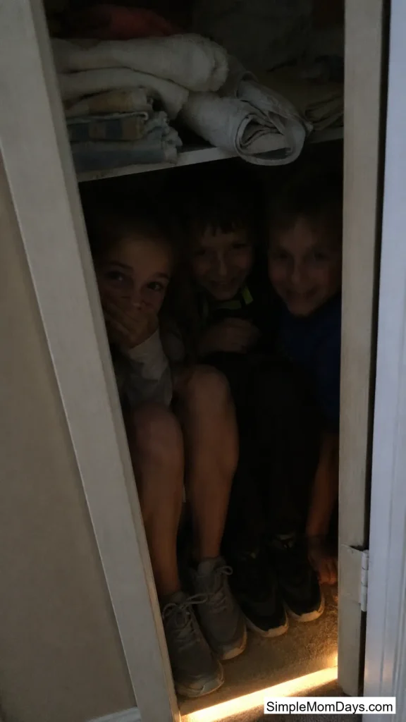 Sardines