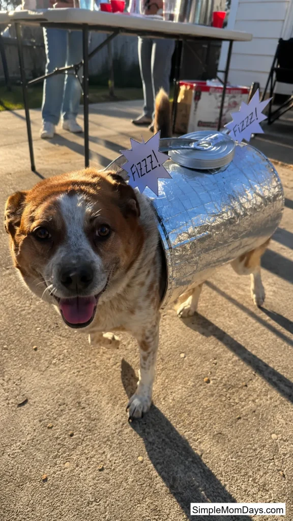 Shaken Soda Can