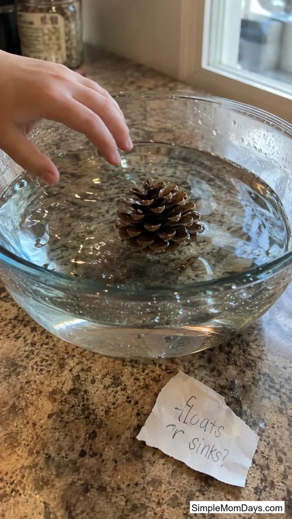 Sink-or-Float Prediction Experiment