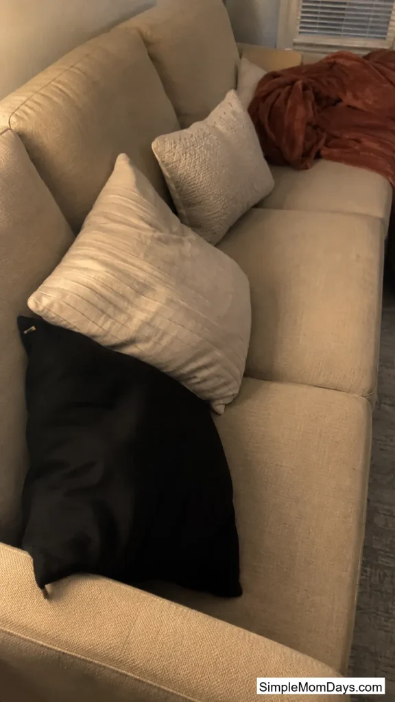 Swap One Throw Pillow Cover, Not Six