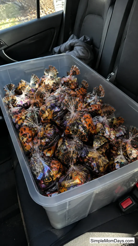 The Grab-and-Go Bin Bag