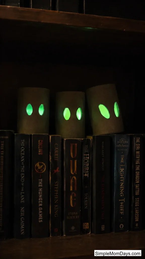 Toilet Paper Roll Eyes for the Bookshelf
