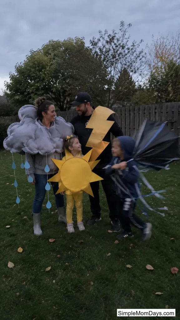 Weather Pattern Family