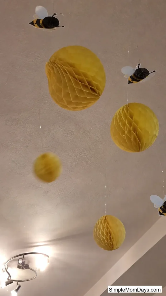 Honeycomb Ceiling Drops